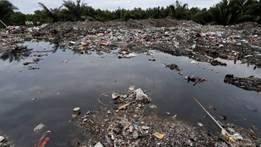 Resíduos de plástico em plantação de óleo de palma na Malásia Foto: LAI SENG SIN / REUTERS
